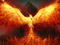 Arising Phoenix